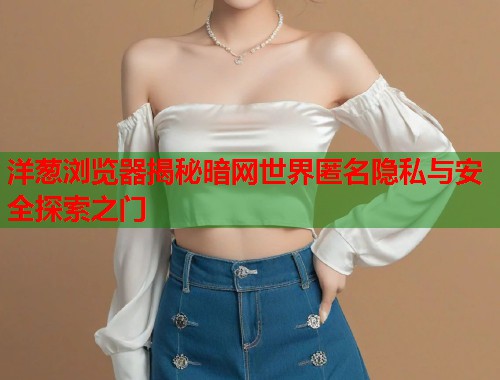 洋葱浏览器揭秘暗网世界匿名隐私与安全探索之门  第1张