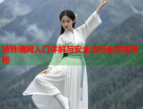 特殊暗网入口详解与安全访问全攻略揭秘