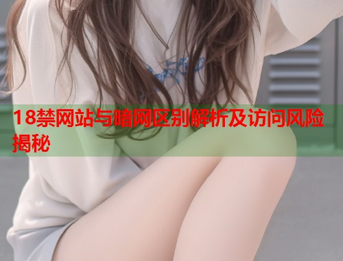 18禁网站与暗网区别解析及访问风险揭秘  第1张