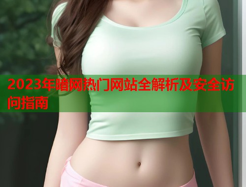2023年暗网热门网站全解析及安全访问指南