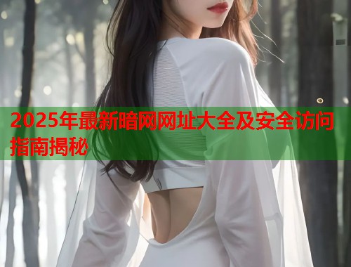 2025年最新暗网网址大全及安全访问指南揭秘  第1张