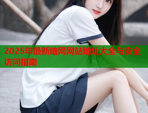 2025年最新暗网网站地址大全与安全访问指南  第1张
