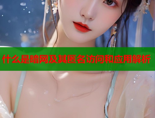 什么是暗网及其匿名访问和应用解析