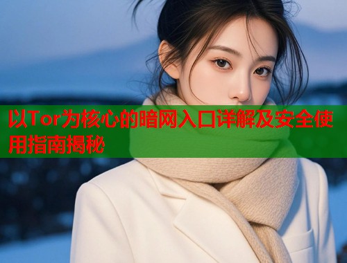 以Tor为核心的暗网入口详解及安全使用指南揭秘  第1张
