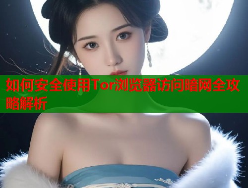 如何安全使用Tor浏览器访问暗网全攻略解析  第2张