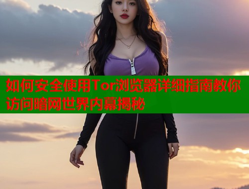 如何安全使用Tor浏览器详细指南教你访问暗网世界内幕揭秘  第2张