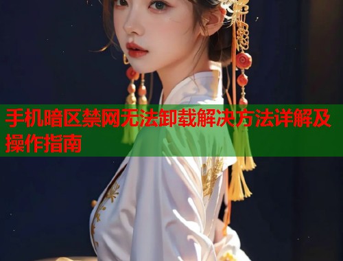 手机暗区禁网无法卸载解决方法详解及操作指南