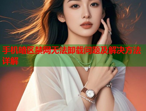 手机暗区禁网无法卸载问题及解决方法详解