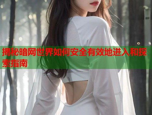 揭秘暗网世界如何安全有效地进入和探索指南