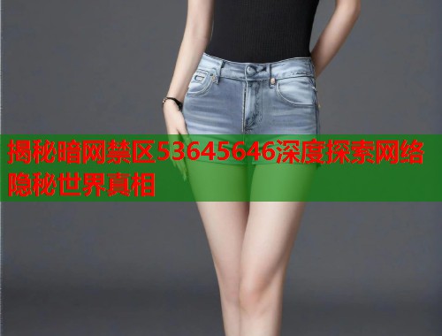 揭秘暗网禁区53645646深度探索网络隐秘世界真相