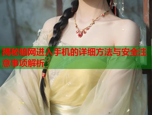 揭秘暗网进入手机的详细方法与安全注意事项解析
