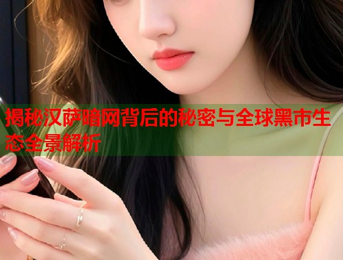 揭秘汉萨暗网背后的秘密与全球黑市生态全景解析  第2张