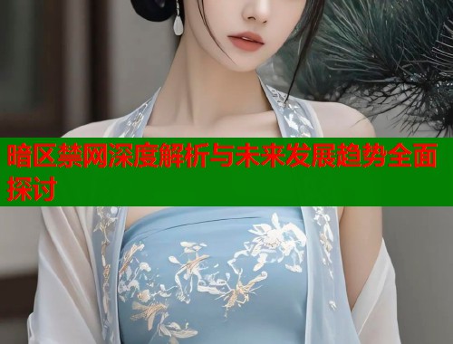 暗区禁网深度解析与未来发展趋势全面探讨