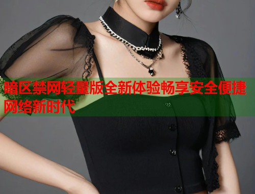 暗区禁网轻量版全新体验畅享安全便捷网络新时代