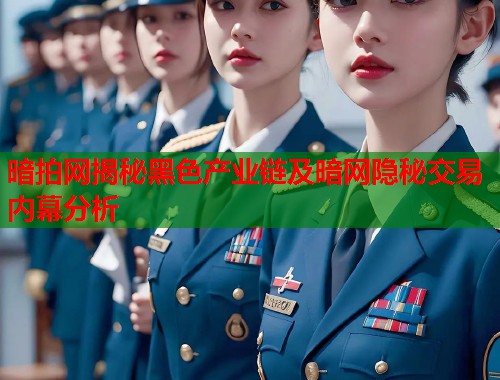 暗拍网揭秘黑色产业链及暗网隐秘交易内幕分析  第2张