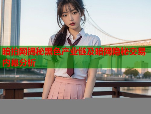 暗拍网揭秘黑色产业链及暗网隐秘交易内幕分析