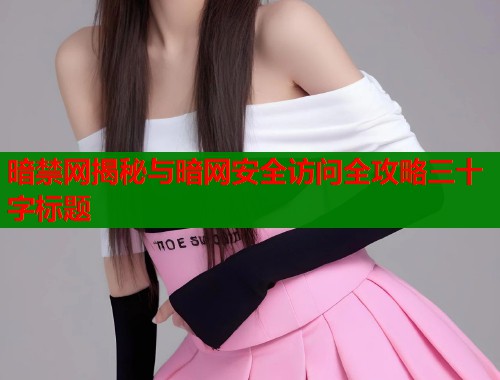 暗禁网揭秘与暗网安全访问全攻略三十字标题