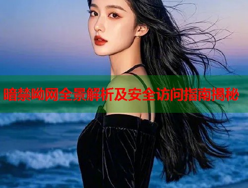 暗禁呦网全景解析及安全访问指南揭秘