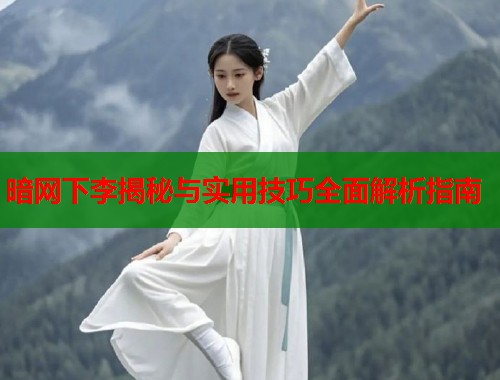暗网下李揭秘与实用技巧全面解析指南