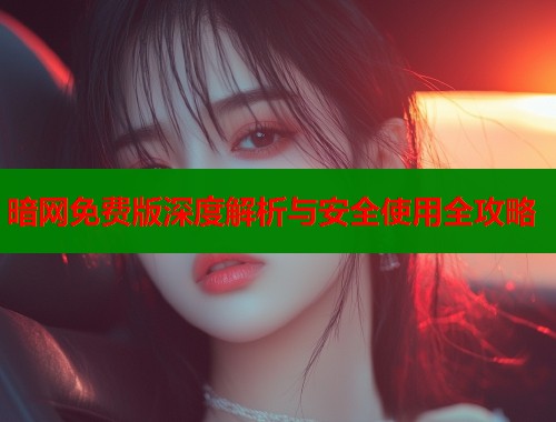 暗网免费版深度解析与安全使用全攻略