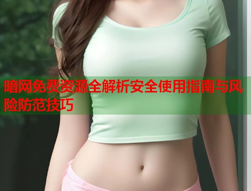 暗网免费资源全解析安全使用指南与风险防范技巧