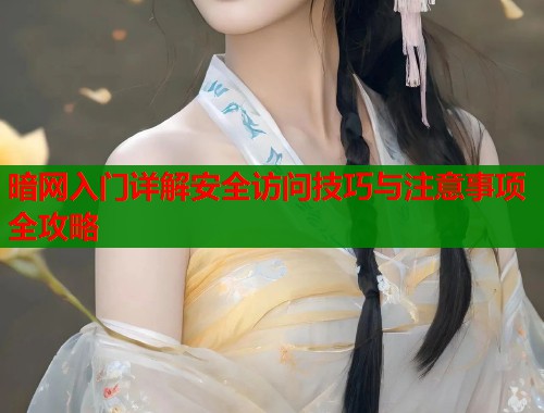 暗网入门详解安全访问技巧与注意事项全攻略