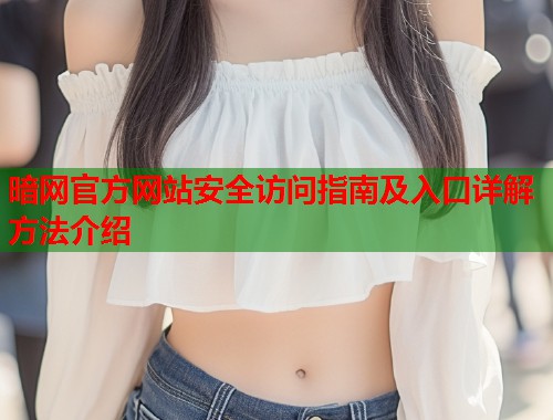暗网官方网站安全访问指南及入口详解方法介绍