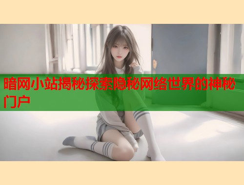 暗网小站揭秘探索隐秘网络世界的神秘门户