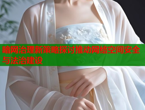 暗网治理新策略探讨推动网络空间安全与法治建设  第2张