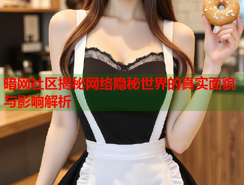 暗网社区揭秘网络隐秘世界的真实面貌与影响解析