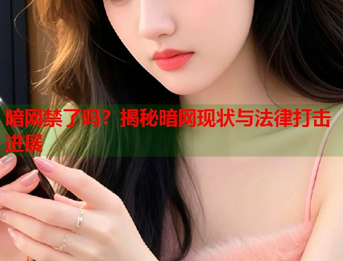 暗网禁了吗？揭秘暗网现状与法律打击进展
