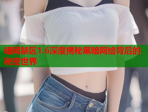 暗网禁区1.6深度揭秘黑暗网络背后的秘密世界