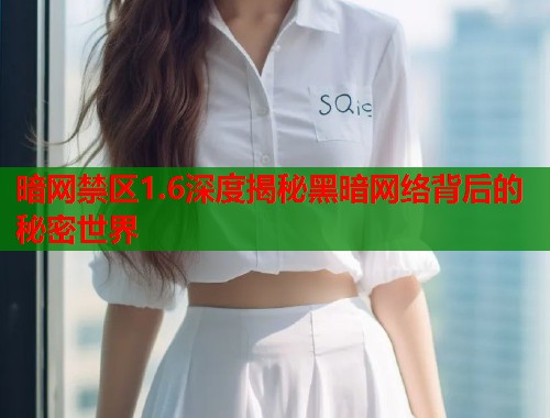 暗网禁区1.6深度揭秘黑暗网络背后的秘密世界  第2张
