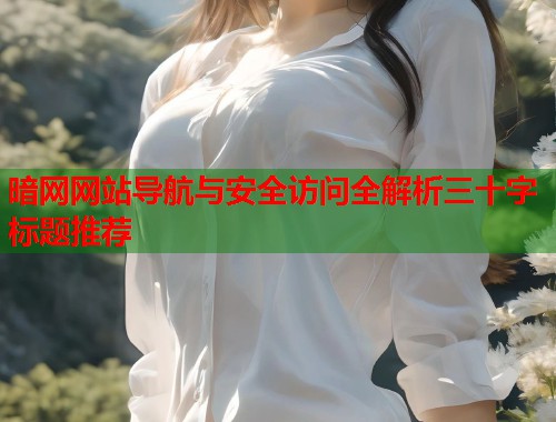 暗网网站导航与安全访问全解析三十字标题推荐
