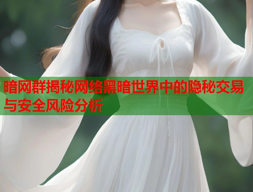 暗网群揭秘网络黑暗世界中的隐秘交易与安全风险分析