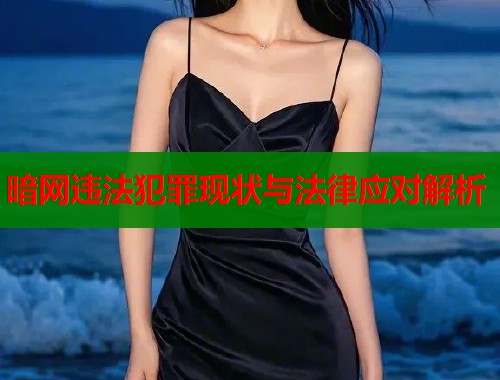 暗网违法犯罪现状与法律应对解析