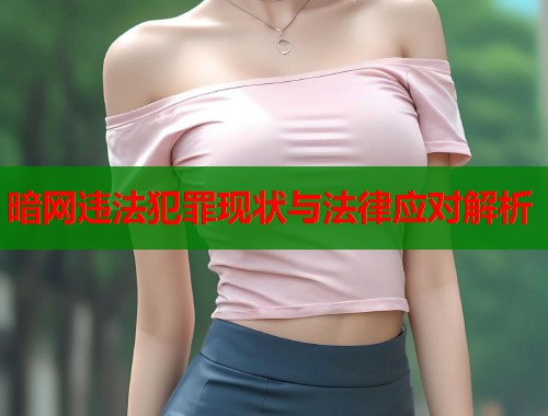 暗网违法犯罪现状与法律应对解析  第2张