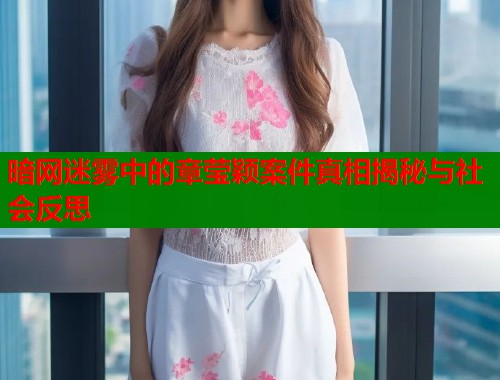 暗网迷雾中的章莹颖案件真相揭秘与社会反思