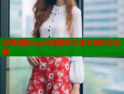 洋葱暗网app深度解析与安全使用全攻略