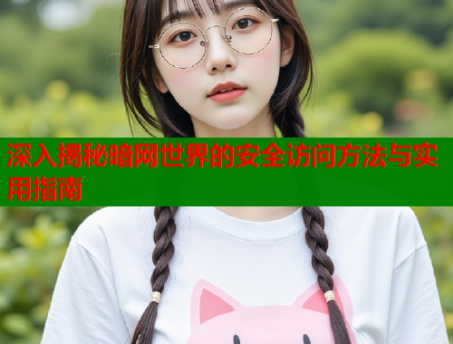 深入揭秘暗网世界的安全访问方法与实用指南