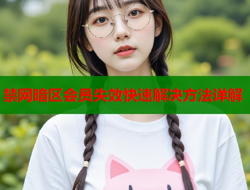 禁网暗区会员失效快速解决方法详解