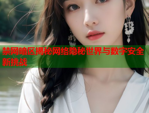 禁网暗区揭秘网络隐秘世界与数字安全新挑战