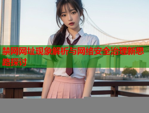 禁网网址现象解析与网络安全治理新思路探讨