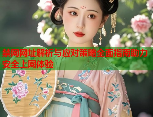 禁网网址解析与应对策略全面指南助力安全上网体验