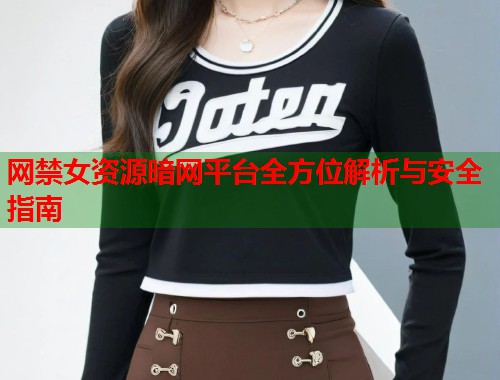 网禁女资源暗网平台全方位解析与安全指南