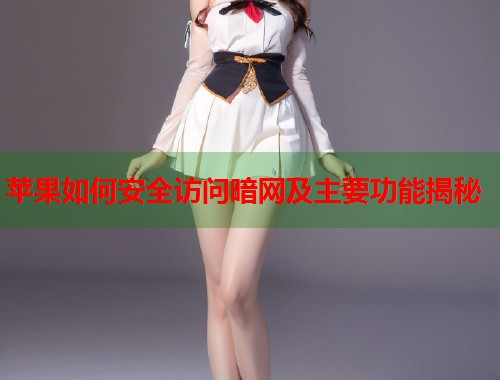 苹果如何安全访问暗网及主要功能揭秘  第2张