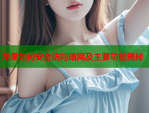 苹果如何安全访问暗网及主要功能揭秘