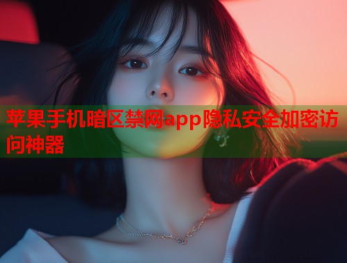 苹果手机暗区禁网app隐私安全加密访问神器