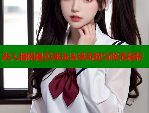 进入暗网是否违法法律风险与防范解析
