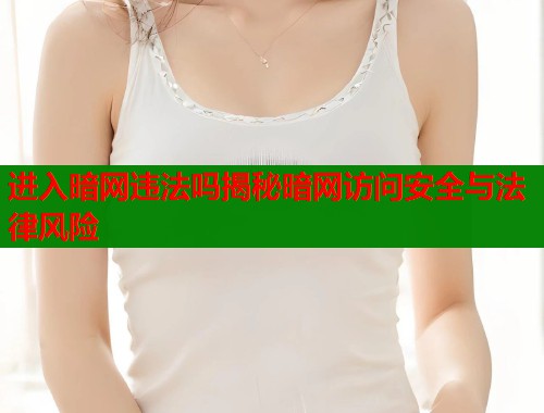 进入暗网违法吗揭秘暗网访问安全与法律风险